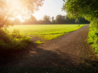 Sunlight filters through trees along a gravel path. Lush green grass stretches into distance. Warm glow enhances peaceful countryside feel. Ideal for travel, nature, or wellness themes © mark_gusev