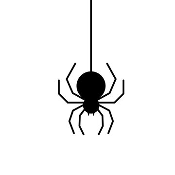 spider on white background