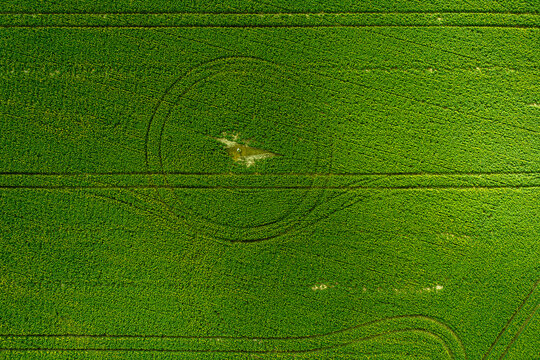 Aerial view of a vibrant green agricultural field featuring circular irrigation patterns and tractor tracks in Kendenup, Western Australia, Australia.