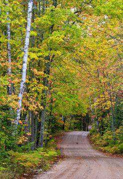 517-51 Autumn Forest Road