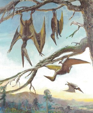 Pterodactylus elegans. Vintage painting of pterosaurs hanging from tree branches in a prehistoric landscape at sunset. An artistic depiction of ancient flying reptiles resting on gnarled wood with