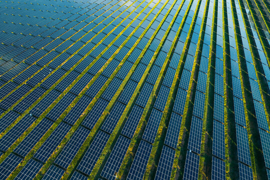 Aerial view of rows of solar panels in a large solar farm capturing sunlight for renewable energy generation in Jacksonville, Florida, United States.