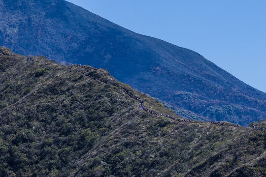 Group of hikers and trail runners ascending a steep mountain ridge under a clear blue sky