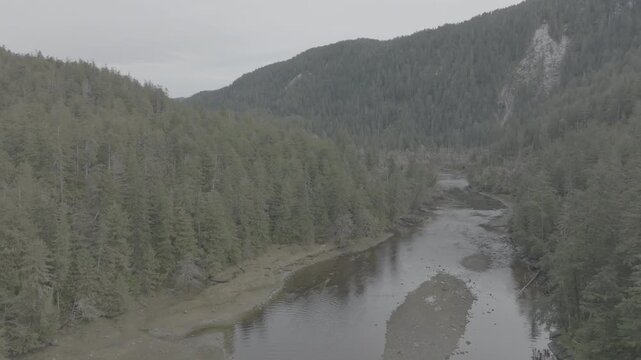 Aerial view of rainforest river with gravel bar between wooded hills
