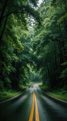 Fototapeta premium Winding asphalt road goes through green forest tunnel. Wet street with yellow lines under rich tree canopy after rain. Scenic highway route through dense woods, summer foliage. Peaceful drive on