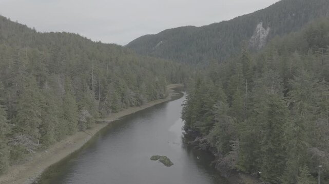 Aerial drone view of river winding through dense rainforest valley