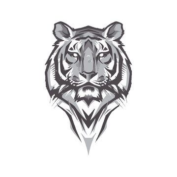 Tiger head portrait vector illustration