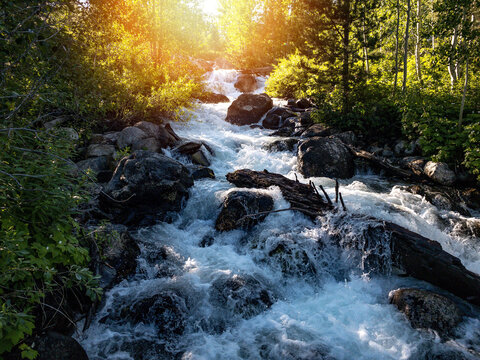 Aerial view of a mountain stream flowing over rocks surrounded by lush autumn foliage and trees with sunlight filtering through the canopy in Provo, Utah, United States.