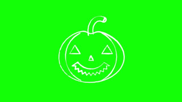 Hand drawn white jack-o'-lantern pumpkin outline with carved face and curled stem in sketchy chalk style, drawing, hold and erase loop on flat solid green screen background, Halloween chroma key anima
