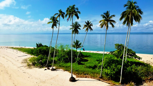 Aerial view of Manimbora Beach in Batu Putih, featuring pristine white sand, turquoise waters, and lush tropical palm trees along the coastline in Batu Putih, East Kalimantan, Indonesia.