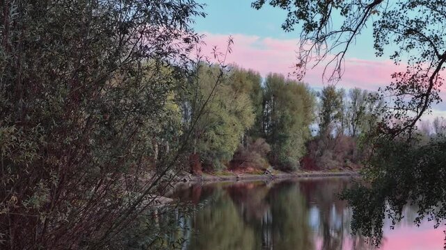 Scenic video of Rott Island on the Rhine River near Linkenheim-Hochstetten in Baden-W&uuml;rttemberg, Germany. .