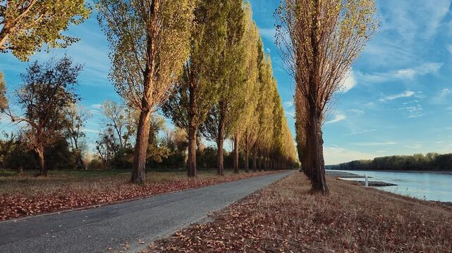 Scenic video of Rott Island on the Rhine River near Linkenheim-Hochstetten in Baden-W&uuml;rttemberg, Germany. 