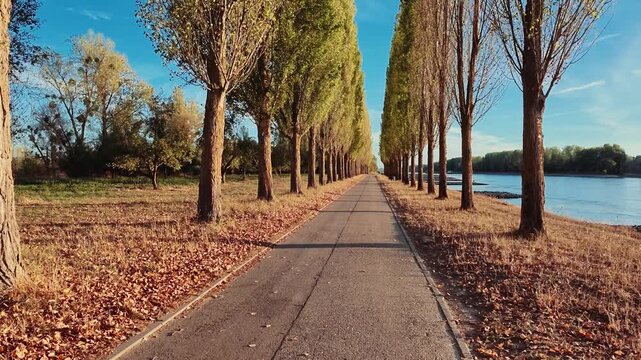 Scenic video of Rott Island on the Rhine River near Linkenheim-Hochstetten in Baden-W&uuml;rttemberg, Germany. 