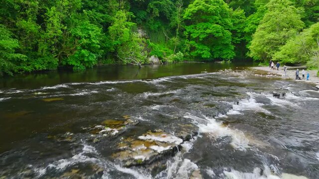 Aysgarth Falls on River Ure from a drone, Yorkshire Dales National Park, North Yorkshire, England, United Kingdom