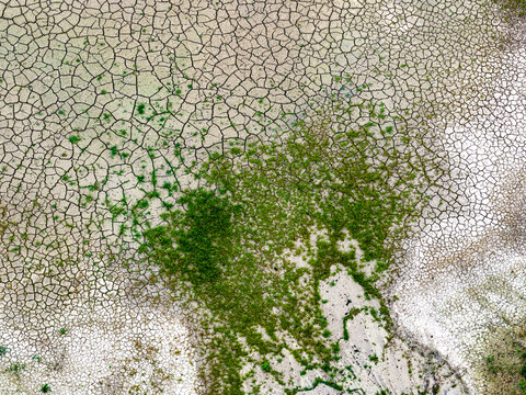 Aerial view of the dry, cracked earth and patches of green vegetation at the Tagebau Hambach open-pit mine in Elsdorf, Nordrhein-Westfalen, Germany.