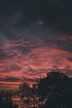 View of a dramatic sunset with vibrant red clouds and dark silhouettes of trees on Vormsi, Laane County, Estonia.