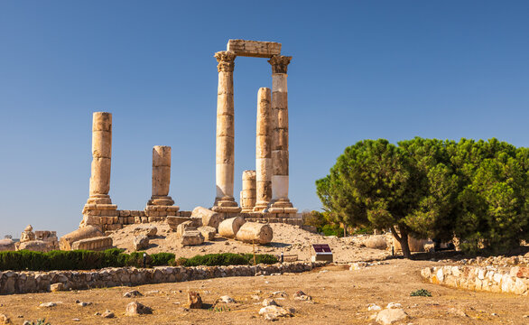 View of the ancient Roman columns at the Amman Citadel, surrounded by stone ruins and a large green tree under a clear blue sky in Amman, Amman Governorate, Jordan.
