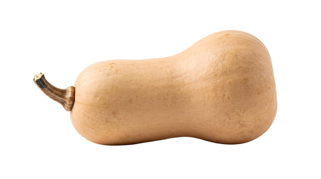 A butternut squash isolated on a white background. The squash is oblong in shape with a smooth, light tan skin and a curved neck