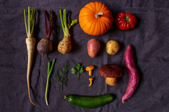 View of a variety of fresh seasonal vegetables including a pumpkin, parsnip, beet, sweet potato, zucchini, and mushrooms arranged on a dark fabric background, Latvia.