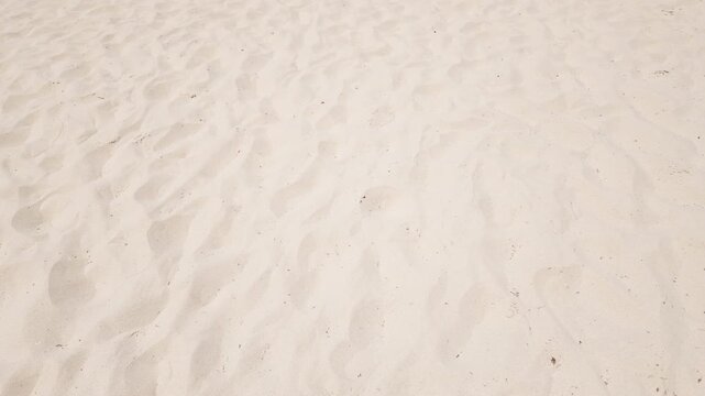 Wind-rippled fine sand filling the frame