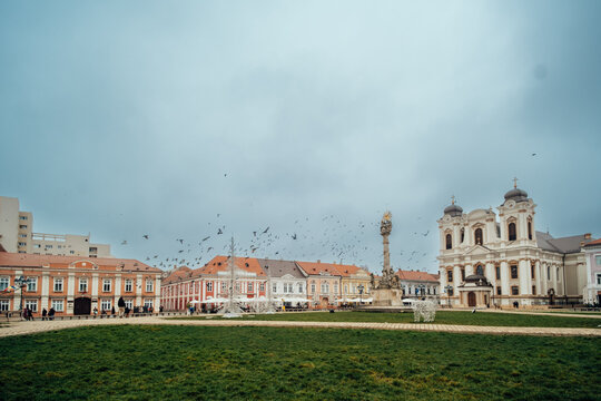 View of the historic Unirii Square featuring the Holy Trinity Column and the Roman Catholic Cathedral surrounded by colorful buildings and a flock of birds in Timisoara, Timis, Romania.