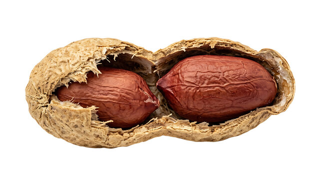 Open peanut with two kernels isolated on transparent background