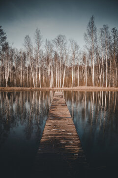 View of Kaisma jarv with a wooden pier extending into the calm water, surrounded by a dense forest of tall bare trees reflecting on the surface in Parnu maakond, Estonia.