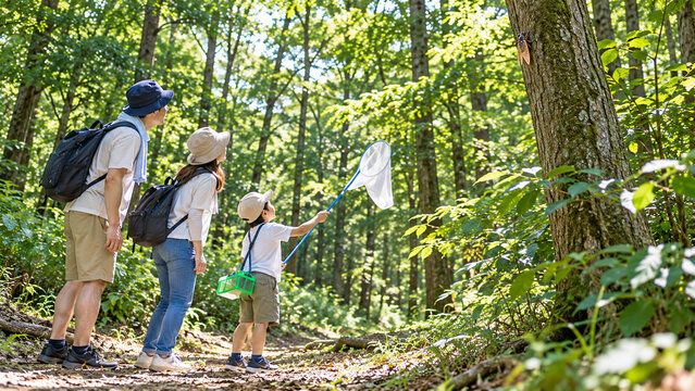 Family looking for cicadas in the forest.