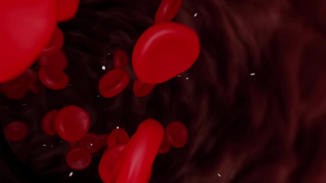 Red Blood Cells Flowing Through a Blood Vessel Animation