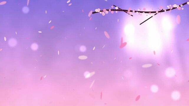 Spring cherry blossom petals falling against purple gradient background with glowing sun for seasonal motion