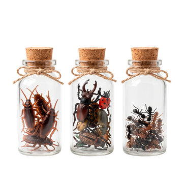 Three glass jars filled with toy insects, including cockroaches, beetles, ants, and a ladybug, tied with twine PNG Isolated on transparent background