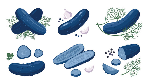 Pickled cucumber vector collection featuring blue marinated gherkins sliced pieces dill herbs garlic cloves and pepper elements