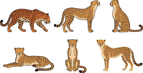 Obraz premium Leopard and Cheetah Taxonomy Vector Chart featuring Stalking Speed Profile Seated and Relaxing Postures with Anatomy Details for Wildlife Education