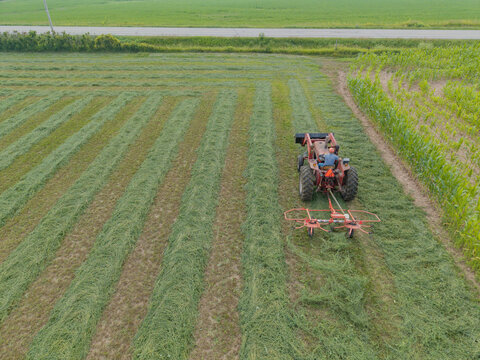 Sturgeon Bay, Wisconsin, United States - 29 July 2026: Aerial view of a tractor raking hay in a field with rows of cut grass and adjacent corn crops.