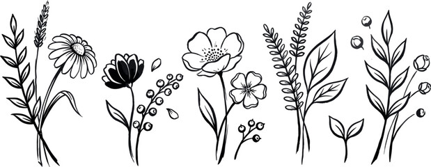 Fototapeta premium Flower brush hand drawn vector set. Hand drawn doodle flower, floral leaf elements in brush stroke ink style. Simple abstract botanical silhouette set for nature black paint art. Vector illustration