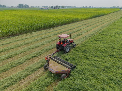 Luxemburg, Wisconsin, United States - 19 July 2026: Aerial view of a red tractor cutting hay in a field with rows of cut grass and a large cornfield in the background.