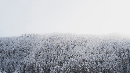 Fototapeta premium 美しい雪山