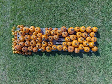 Random Lake, Wisconsin, United States - 23 September 2026: Aerial view of Spieker's Pumpkin Farm with orange pumpkins arranged on a wooden pallet set against a green grassy field.