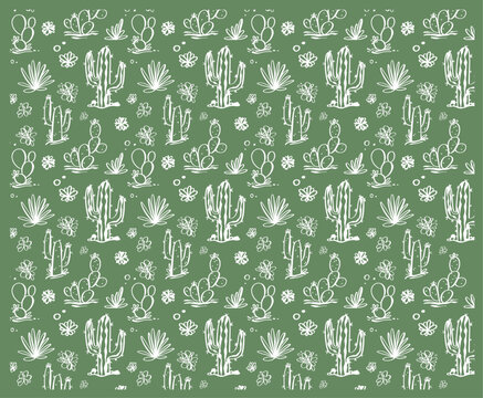 Patr&oacute;n continuo de cactus y suculentas en arte lineal blanco sobre fondo verde