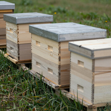 Unlettered wooden beehive boxes stand in a meadow.