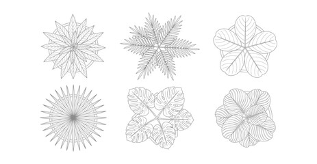 Obraz premium Top view set of various indoor potted plants, hand drawn sketch style illustrations of tropical house plants