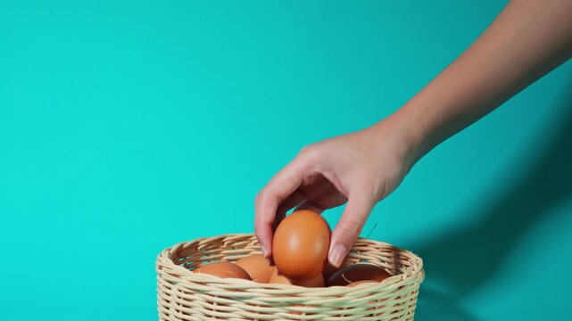 Hand placing fresh brown eggs one by one into woven basket against bright turquoise background