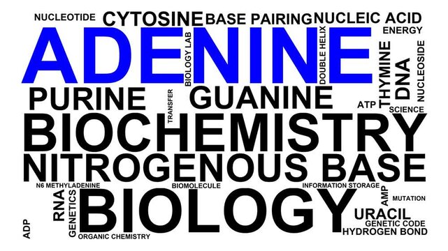 Adenine Word Cloud