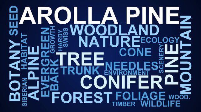 Arolla Pine Word Cloud