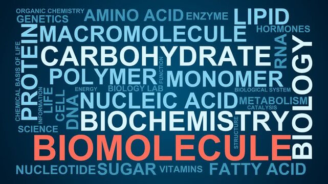 Biomolecule Word Cloud