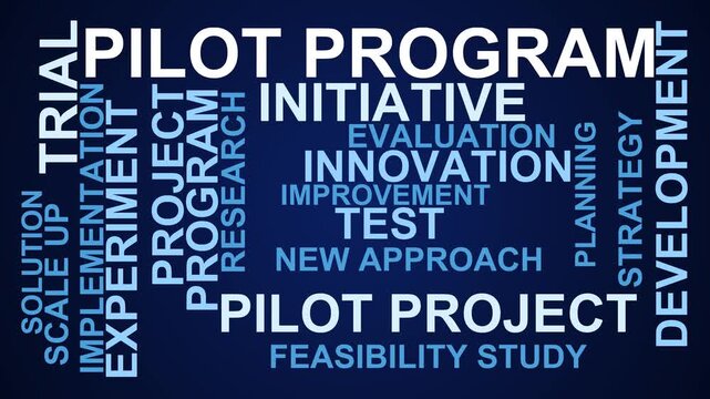 Pilot Program Word Cloud