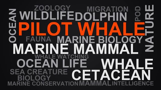 Pilot Whale Word Cloud