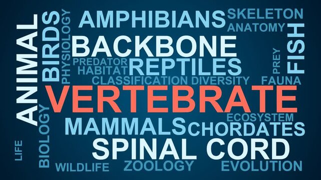 Vertebrate Word Cloud