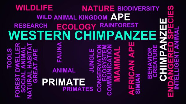 Western Chimpanzee Word Cloud