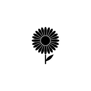 Black and white simple daisy flower illustration